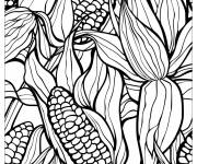 Coloriage Illustration de ma&iuml;s remplie la page