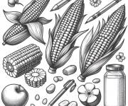 Coloriage Illustration de vari&eacute;t&eacute; du Ma&iuml;s