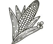 Coloriage Ma&iuml;s avec une petite fleur