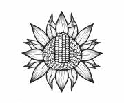 Coloriage Ma&iuml;s dans la fleur Tournesol