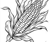 Coloriage Ma&iuml;s d&eacute;licieux en ligne