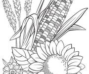 Coloriage Ma&iuml;s et c&eacute;r&eacute;ales