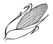 Coloriage et dessins gratuit Ma&iuml;s isol&eacute; à imprimer