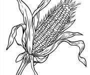 Coloriage Ma&iuml;s l&eacute;gumes d&eacute;licieux