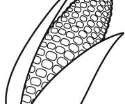 Coloriage Ma&iuml;s pour ce1
