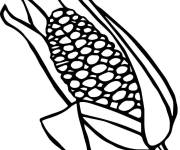 Coloriage Ma&iuml;s simplifi&eacute;