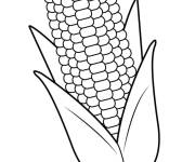 Coloriage Ma&iuml;s stylis&eacute; ce1