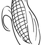 Coloriage Ma&iuml;s sucr&eacute; en &eacute;pi