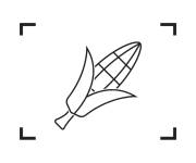 Coloriage et dessins gratuit Photographie de Ma&iuml;s à imprimer
