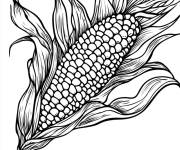 Coloriage Plante ma&iuml;s nutritif