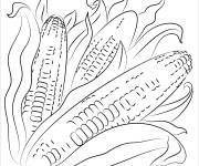 Coloriage Plante Ma&iuml;s styl&eacute;