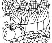 Coloriage R&eacute;colte de ma&iuml;s