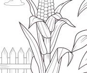 Coloriage Tige de Ma&iuml;s dans le jardin