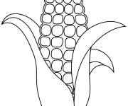 Coloriage Tige de ma&iuml;s t&eacute;l&eacute;chargeable