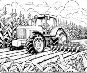 Coloriage Tracteur dans un champ de ma&iuml;s