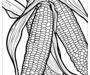 Coloriage Trois ma&iuml;s dans leurs plantes