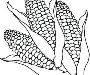 Coloriage Trois Ma&iuml;s en ligne