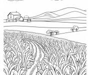Coloriage Une ferme de ma&iuml;s d&eacute;borde