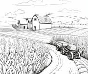 Coloriage Vue de Ferme de ma&iuml;s