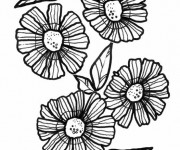 Coloriage Des fleurs Marguerites