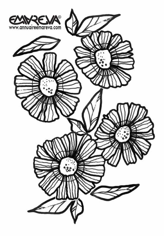Coloriage et dessins gratuits Des fleurs Marguerites à imprimer