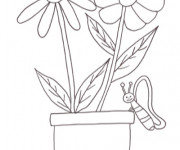 Coloriage Les fleurs Marguerites et le papillon