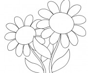 Coloriage Marguerite facile à découper