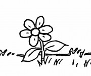 Coloriage Marguerite fleur  en noir