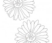 Coloriage Marguerite maternelle enfant