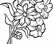 Coloriage Marguerite pour d&eacute;coration