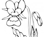 Coloriage Marguerite pour enfant