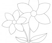 Coloriage Marguerite simple