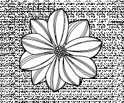 Coloriage Marguerite vue de face