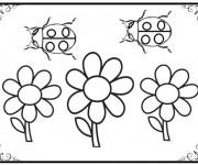 Coloriage Marguerites et Coccinelles