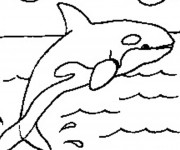 Coloriage Baleine bleu  dans la Mer
