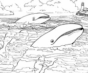 Coloriage Baleines sur la surface de Mer