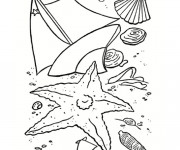 Coloriage Coquillages et petit navire