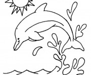 Coloriage Dauphin sur la surface de Mer