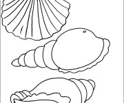 Coloriage et dessins gratuit Des Coquillages à imprimer