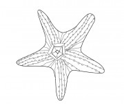 Coloriage Etoile de Mer en ligne