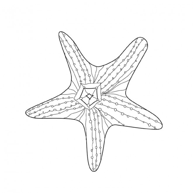 Coloriage Etoile de Mer en ligne dessin gratuit à imprimer