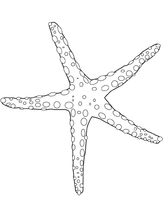 Coloriage Etoile Mer maternelle dessin gratuit à imprimer