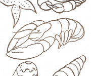 Coloriage Fruits de Mer stylisé