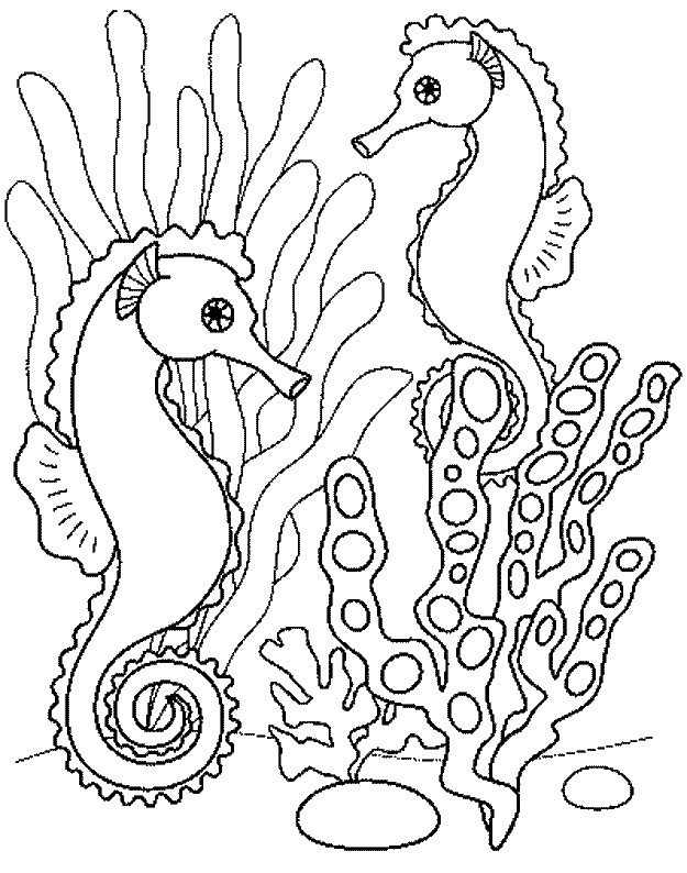 Coloriage et dessins gratuits Hippocampe dans la Mer à imprimer