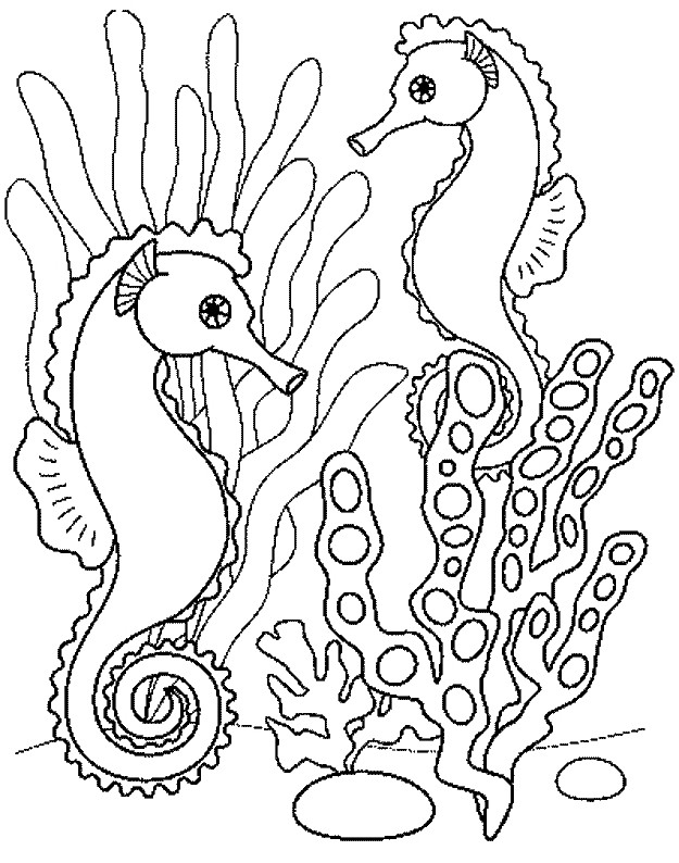 Coloriage Hippocampe Dans La Mer Dessin Gratuit A Imprimer