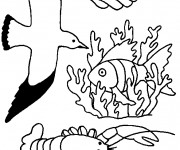 Coloriage Les animaux de Mer facile