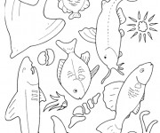 Coloriage et dessins gratuit Poissons couleur pour enfant à imprimer