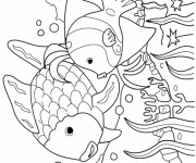 Coloriage Poissons exotiques de Mer