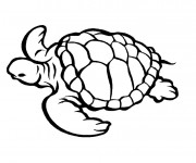Coloriage Tortue de Mer