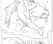 Coloriage et dessins gratuit Trois jolis Dauphins qui sautent à imprimer